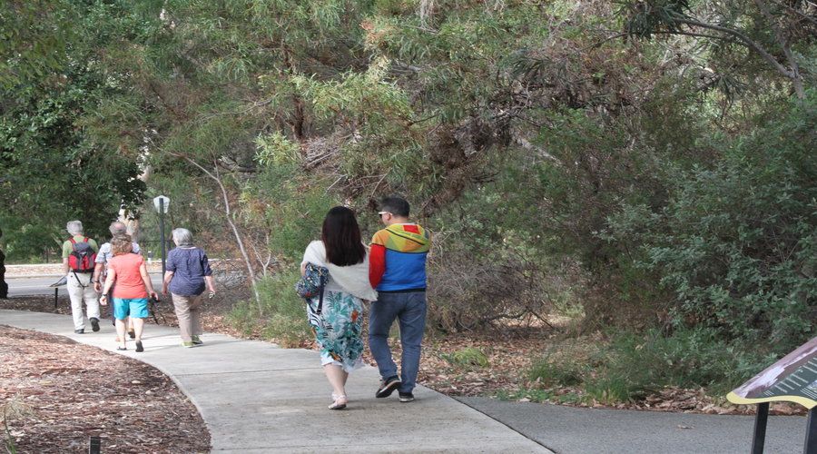 Half-Day Morning Perth & Fremantle City Explorer - The Guide Factor: Clear Explanations and a Light Touch