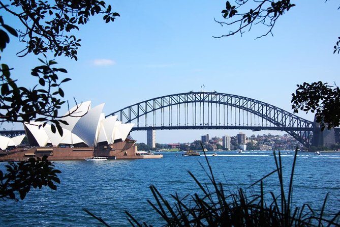 Half-Day or Full-Day Private Guide Hire From Sydney - Beyond the city: Hunter Valley and the Blue Mountains trade-offs