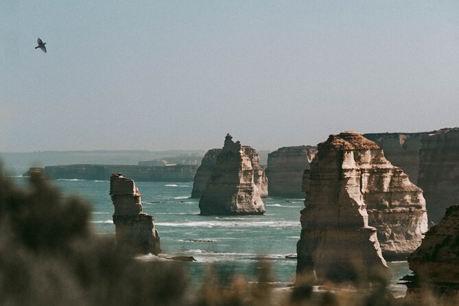 Half-Day or Full-Day Tour with Private Guide from Melbourne - A private Melbourne day that actually fits your group