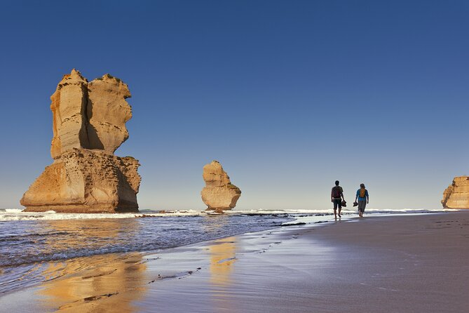 Half-Day or Full-Day Tour with Private Guide from Melbourne - Stop 4: Point Nepean National Park and the westerly tip
