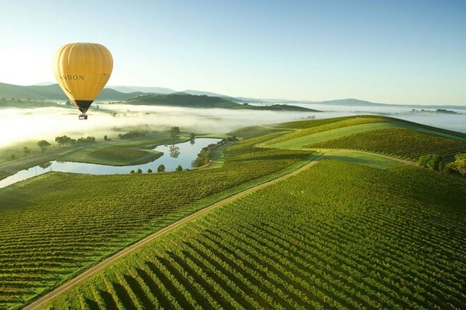 Half-Day or Full-Day Tour with Private Guide from Melbourne - Half-day vs full-day: choosing the right version for your Melbourne days