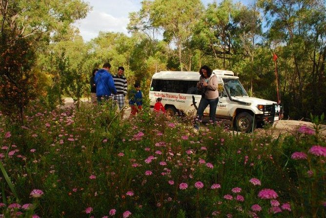 Half-Day Pemberton National Parks Beach and Forest Eco Adventure - Yeagarup Dunes: sand slides, photos, and that wind-made drama