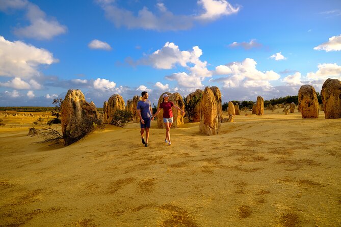 Half Day Pinnacles Sunset Tour - Organization and Guide Quality: The Part That Makes It Flow