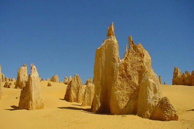 Half Day Pinnacles Sunset Tour - Leaving Perth the Easy Way: Pickup, Coach, and Pacing