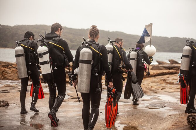 Half-Day Private Discover Dive at Australia's Iconic Beach - Marine life time at Sydney’s coast: what you might see