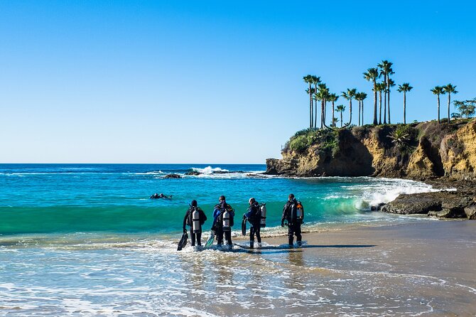 Half-Day Private Discover Dive at Australia's Iconic Beach - Where it fits in your Sydney trip (and who it suits best)