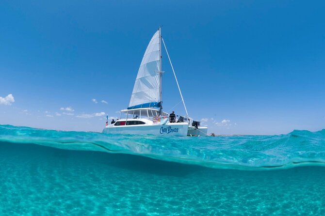 Half Day Sailing and Snorkeling Tour from Coral Bay - What you’ll actually see: coral, turtles, and the wildlife chances