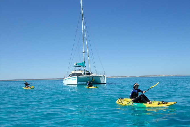 Half Day Sailing and Snorkeling Tour from Coral Bay - Small-group atmosphere: up to 28 people and no guide in the water