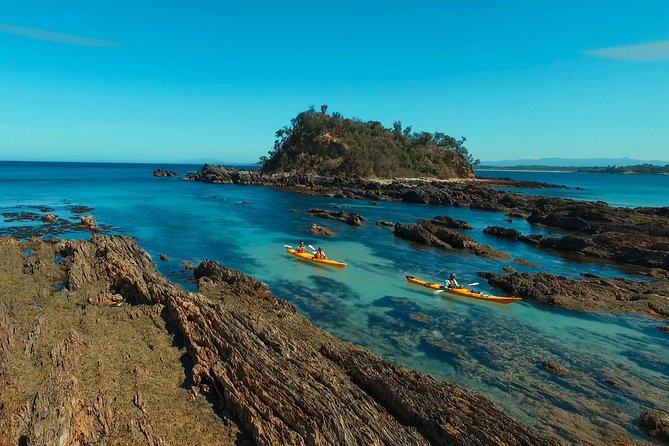 Half Day Sea Kayak Tour from Batemans Bay with Morning Tea - Why This Kayak Tour Feels More Like an Adventure Than a Trip