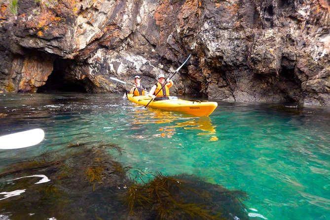 Half Day Sea Kayak Tour from Batemans Bay with Morning Tea - Snorkelling, Swims, and the Honest Sea-State Reality