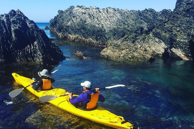 Half Day Sea Kayak Tour from Batemans Bay with Morning Tea - Your Morning Game Plan: Timing, Gear, and What the Day Really Looks Like