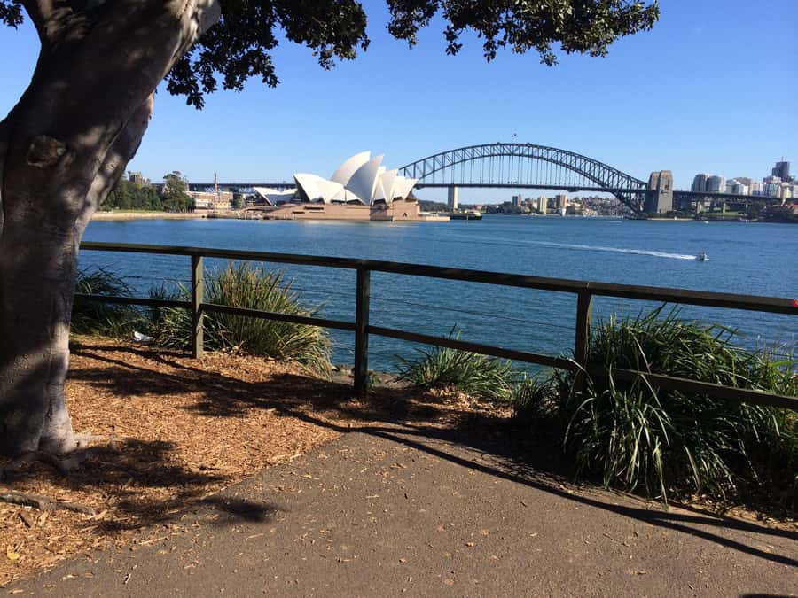 Half Day Small Group : The Story of Sydney Tour - Bondi to Bronte coastal walk: the best “legs payoff” stretch