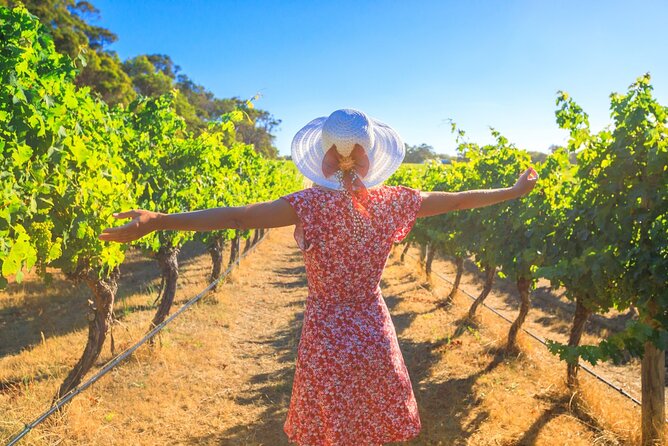 Half Day Swan Valley Afternoon Wine Tour - Premium Small Group Tour - Key Points You’ll Care About
