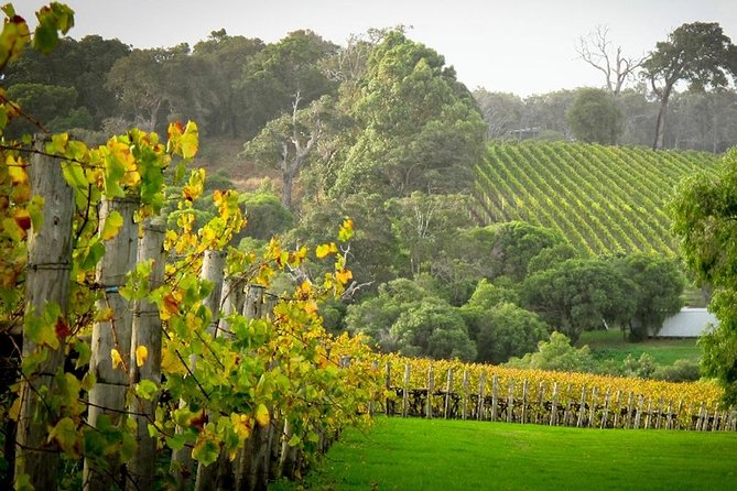 Half-Day Swan Valley & Wildlife Park Tour - Key moments worth your attention