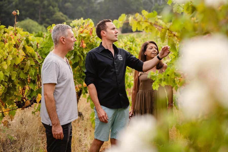 Half-Day Swan Valley Wine Tour with Tastings - From Perth - Small-group comfort and air-conditioned transport