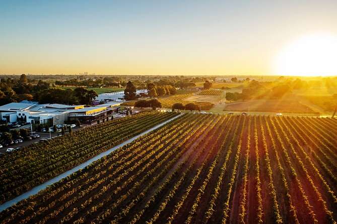 Half-Day Swan Valley Winery & Brewery - Brewery tasting: beer and cider, plus how to slow down without running out of time