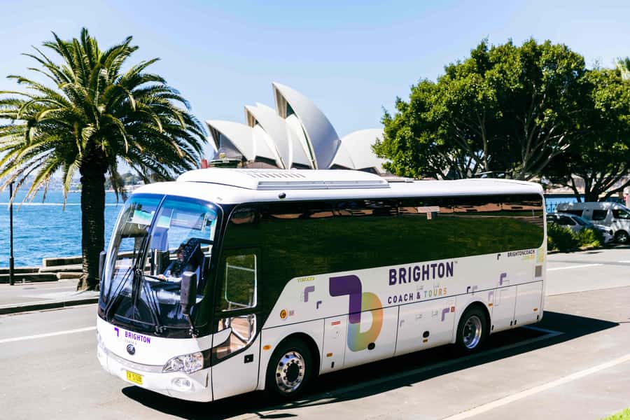 Half Day Sydney Sightseeing Tour - The Rocks & Bondi Beach - Price and value: what $105 buys you in a half day