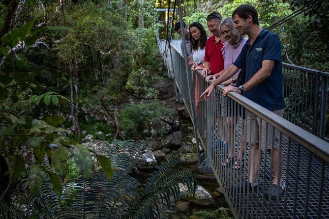 Half Day Tour to Daintree Rainforest and Mossman Gorge - Key highlights worth booking for