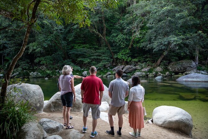 Half Day Tour to Daintree Rainforest and Mossman Gorge - Southern Daintree in 5 hours: how this day stays efficient