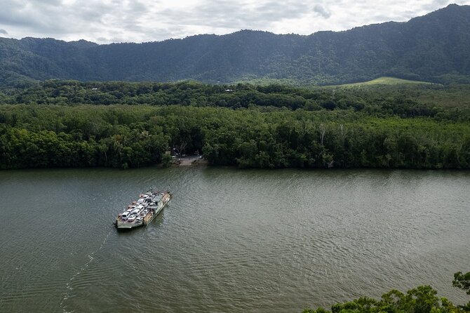 Half Day Tour to Daintree Rainforest and Mossman Gorge - Optional Port Douglas Wildlife Habitat add-on: when animals are your priority