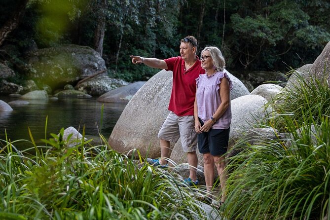 Half Day Tour to Daintree Rainforest and Mossman Gorge - Price and value: what you’re really paying for