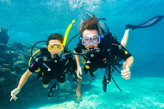 Half Day Tour to Daintree Rainforest and Mossman Gorge - Comfort and small-group logistics from Port Douglas
