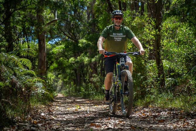 Half Day Wadandi Track Scenic E-Bike Tour - Key highlights worth planning for