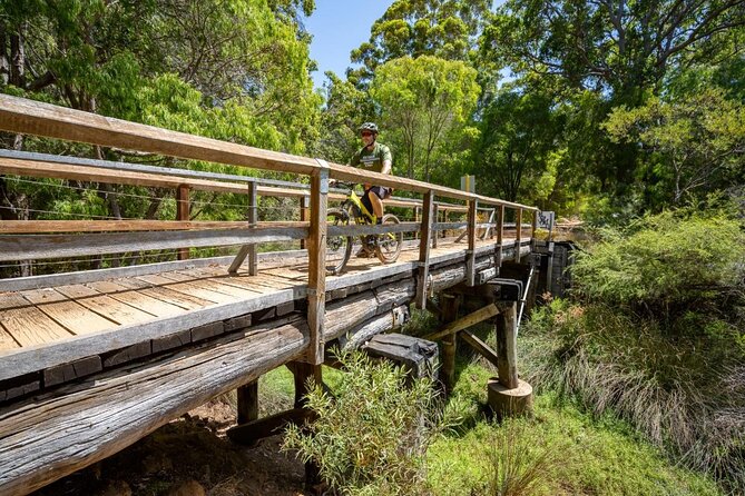 Half Day Wadandi Track Scenic E-Bike Tour - Value and logistics: where your money actually goes