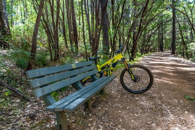Half Day Wadandi Track Scenic E-Bike Tour - Who this tour suits (and who might want something else)