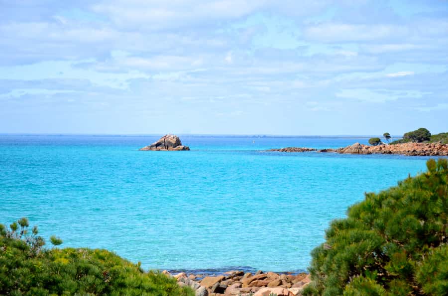 Half day Wine and Sights Discovery Tour Busselton - Caves Road and the transition into wine country
