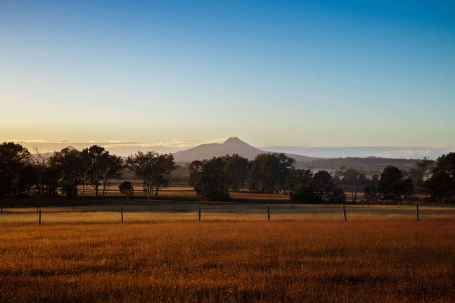 Harrisville: Summer Land Camel Farm Tour with Tasting - Café Stop: Breakfast, Brunch, Lunch, and a Camelcino