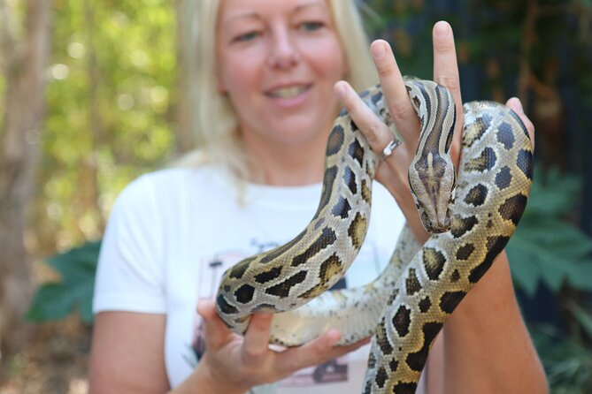 Hartley Crocodile Park with Kuranda, Skyrail Cableway and Train - Palm Cove at sunset: a calm finish after the action
