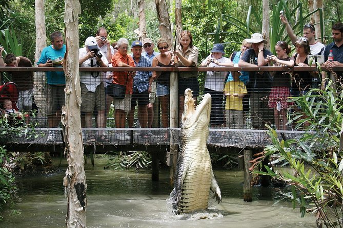 Hartley’s Crocodile Adventures Half-Day Tour from Cairns - Key things to know before you go