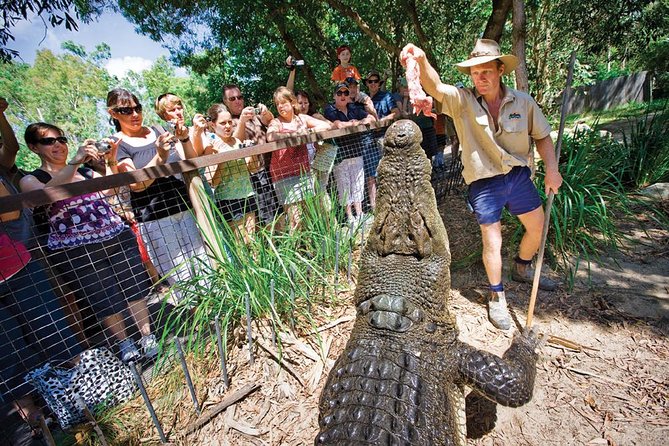 Hartley’s Crocodile Adventures Half-Day Tour from Cairns - Timing reality check: the afternoon can cut into programs