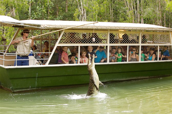 Hartley’s Crocodile Adventures Half-Day Tour from Cairns - Getting from Cairns (or Palm Cove) to Hartley’s with less hassle