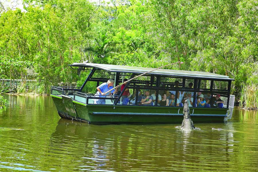 Hartley's Crocodile Adventures Park Entry - Key Highlights You Should Know