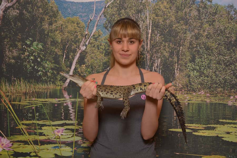 Hartley's Crocodile Adventures Park Entry - Where Hartley’s Crocodile Adventures Fits in Your Cairns or Port Douglas Trip