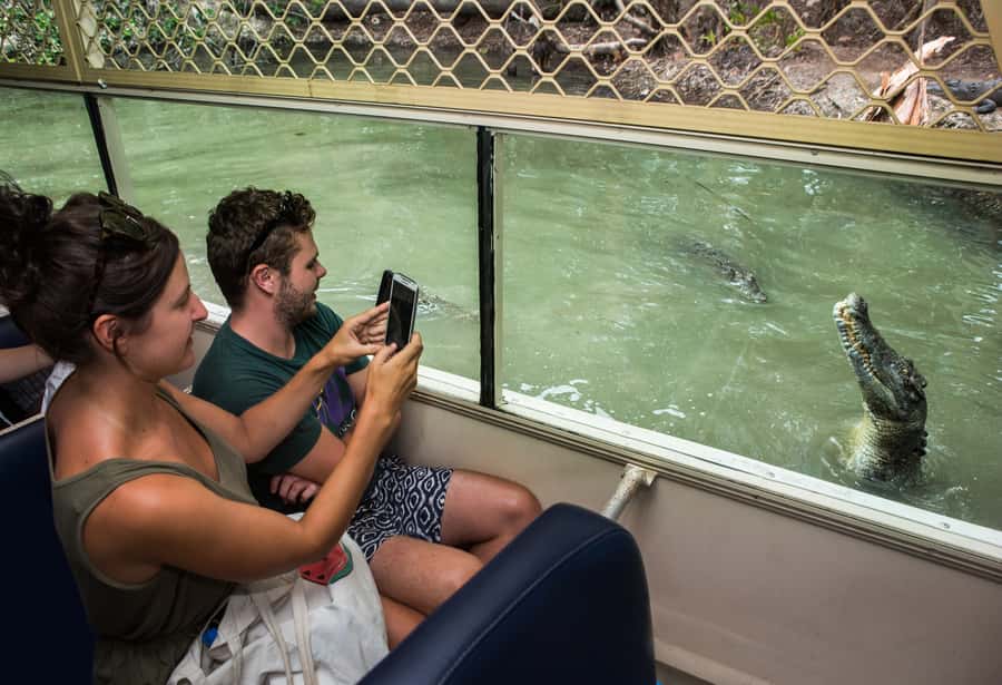 Hartley's Crocodile Adventures Park Entry - Crocodile Farm Tour and Animal Talks: Why the Learning Part Matters