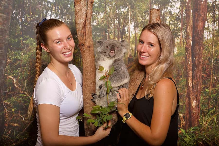 Hartley's Crocodile Adventures Park Entry - Boardwalks, Wetlands, and Wildlife You’ll Notice After the Shows