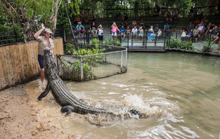 Hartley's Crocodile Adventures Park Entry - Price and What You Get for It (Without Surprise Costs)
