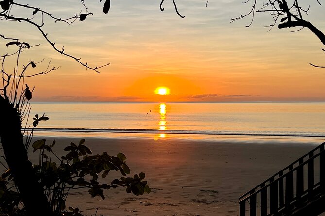 Hartleys Crocodile Adventures Plus Return Port Douglas Transfers - Port Douglas departure timing: what you need to know before you set out