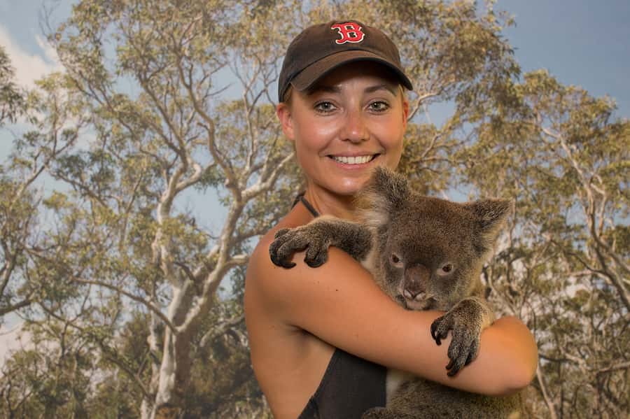 Hartley's Crocodile Adventures: Zootastic 5 + Entry Ticket - Your koala meet-and-greet: the photo moment you’ll actually remember