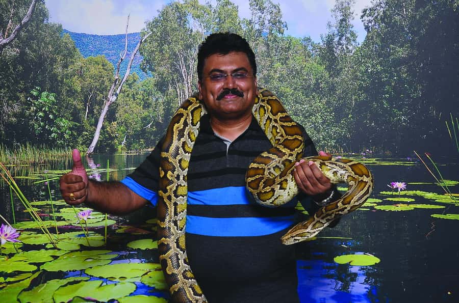 Hartley's Crocodile Adventures: Zootastic 5 + Entry Ticket - What else you get: daily presentations and the Hartley’s Lagoon boat cruise