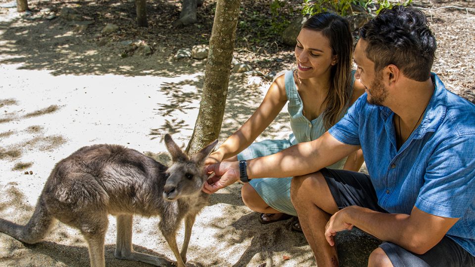 Hartley's Crocodile Adventures: Zootastic 5 + Entry Ticket - Price and value: is $106 per person worth it?