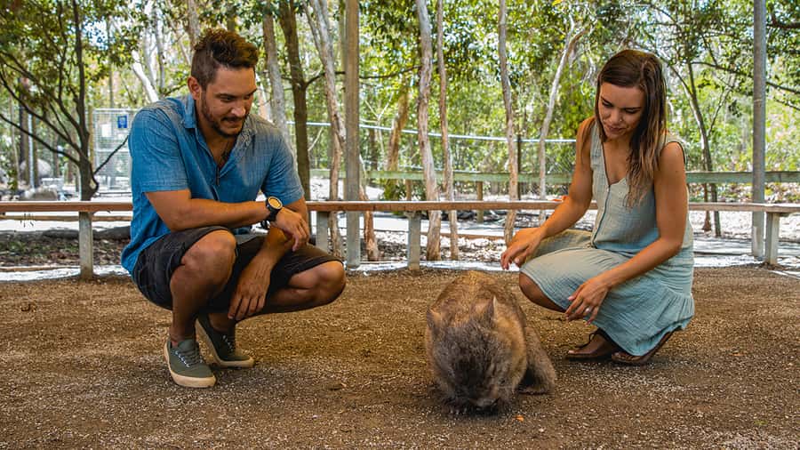 Hartley's Crocodile Adventures: Zootastic 5 + Entry Ticket - The small-group keeper experience (and why it changes the whole vibe)