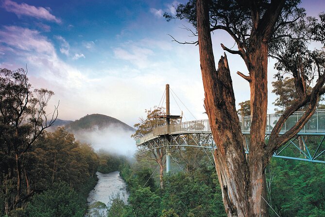 Hastings Caves, Tahune Airwalk and the Huon Tasting Trail - Hastings Caves: Australia’s largest dolomite cave, explained as you walk
