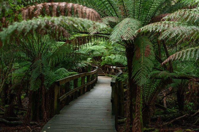 Hastings Caves, Tahune Airwalk and the Huon Tasting Trail - Huonville and the cider stop: tasting paddles with or without alcohol