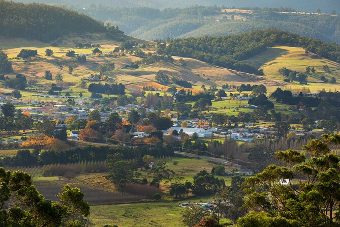 Hastings Caves, Tahune Airwalk and the Huon Tasting Trail - Price and value: what $143.45 really covers