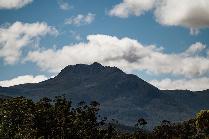 Hastings Caves, Tahune Airwalk and the Huon Tasting Trail - How much walking is in the day (and what to pack)
