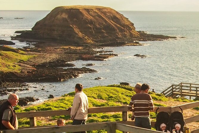 Healesville Sanctuary And Phillip Island Wildlife Bus Tour - Nobbies Centre: Seal Rock and the Blowhole Views You Can’t Replicate on Your Own